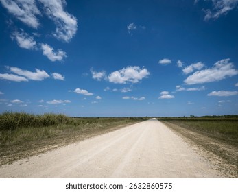 Long, straight, flat section of Upper Wagonwheel Road in the Big Cypress National Preserve in southern Florida USA
