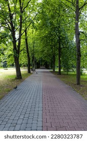 A long straight path made of cobblestones among symmetrically planted trees in a small park - Shutterstock ID 2280323787