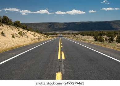 A long, straight road stretches into the distance through a desert landscape under a clear blue sky, symbolizing freedom, adventure, and the open road.
 - Powered by Shutterstock