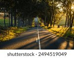 Long straight road through winery region of Australia Hunter valley at a stunning sunset and majestic hills.