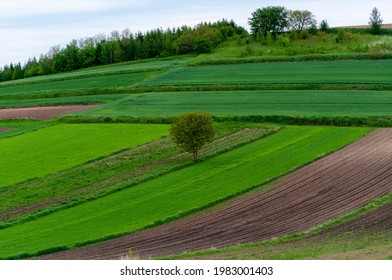 Strip Cropping Images, Stock Photos & Vectors | Shutterstock