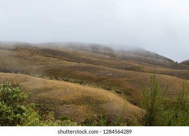 Long Tom Pass