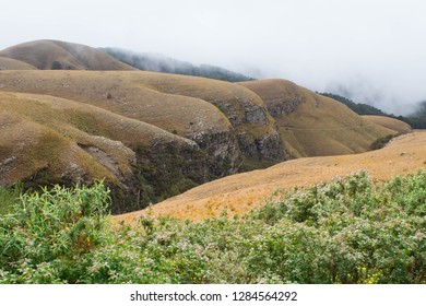 Long Tom Pass