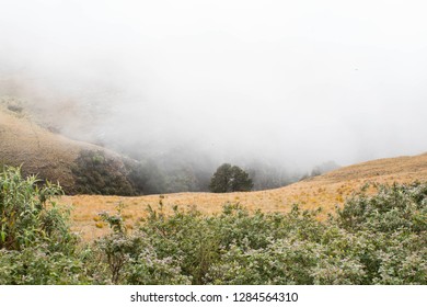 Long Tom Pass