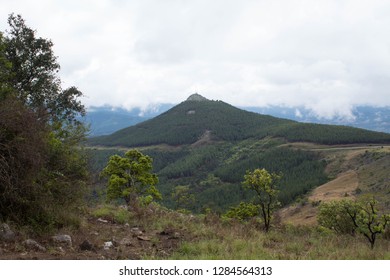 Long Tom Pass