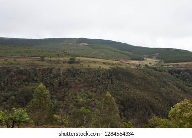 Long Tom Pass