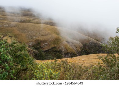 Long Tom Pass