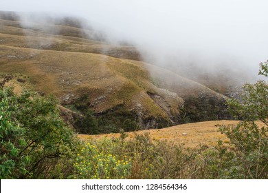 Long Tom Pass