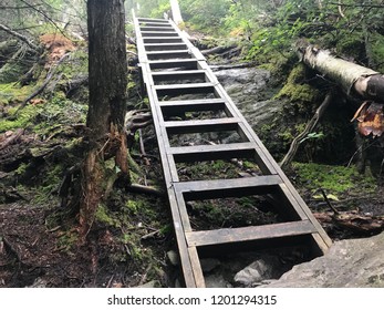 Long Trail Ladder Mount Mansfield Vermont