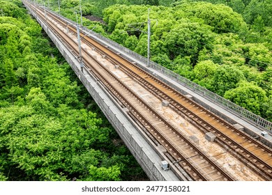 Long train railway through forest - Powered by Shutterstock