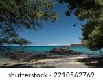 Long tree branches form shades and frame horizon at Puako Beach, Big Island, Hawaii