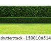 hedge background