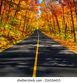 A long two lane rural road running through a colorful vibrant treed corridor landscape during the autumn season. 