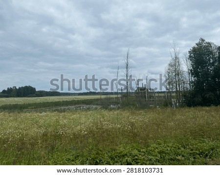 a long walk through marshy fields 