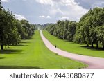 The Long Walk at Windsor Great Park