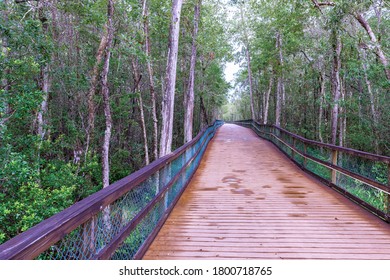 Long Walkway Over Marsh Land, Along Turkey Creek