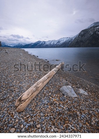 A long water soaked log lays on the shoreline of Pend Oreille Lake at Farragut State Park in north Idaho.