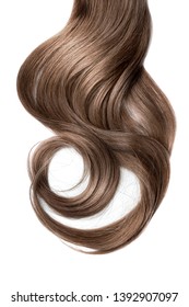 Long Wavy Brown Hair On White Background. Ponytail