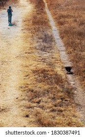 
A Long Way Down A Barren Road