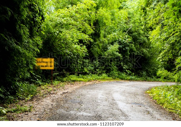 Long way to forest entrance\
.