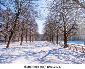 The Long Way In The Garden Park Is Very Cold Winter Season Near Munich Residenz.Space For Text Background Blue Sky Sunny Day.