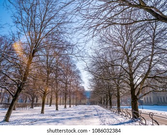 The Long Way In The Garden Park Is Very Cold Winter Season Near Munich Residenz.Space For Text Background Blue Sky Sunny Day.