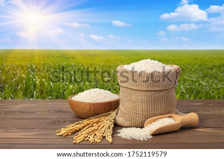 long white rice in burlap sack and wooden bowl with ears on table against the green agricultural field