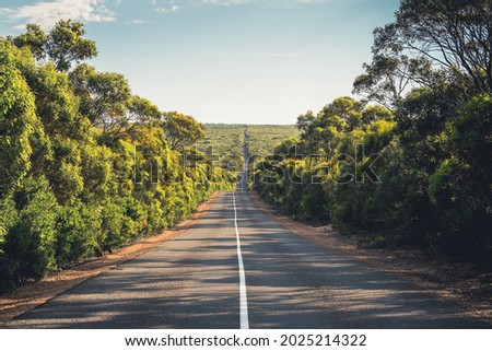 Long winding Cape du Couedic Road on Kangaroo Island through bushland and gumtrees, Flinders Chase National Park, South Australia
