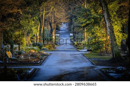 Long, winding path through a historic cemetery in Dortmund, Germany, during winter