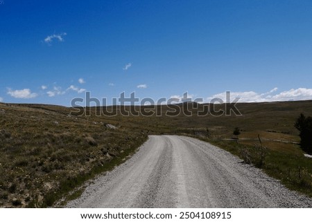 Similar – Image, Stock Photo Sky with little clouds and 2 different trees, bare and spring greenery