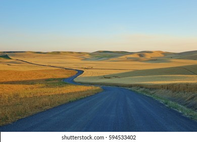 Long Winding Road Through The Rolling Hills And Wheat Fields Of The Palouse In Eastern Washington State On A Clear Blue Sky Summer Day.