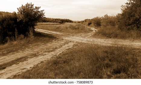 long winding rural road, interlacing country roads, crossroads. An empty country road through fields with perspective and shadows is typical ancient landscape of middle belt of Russia and Ukraine
