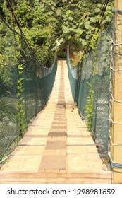 Long Wooden Bridge With Safety Net