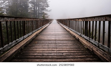 A long wooden bridge stretches into the fog, disappearing into the misty unknown. The dense fog and weathered wood evoke a sense of mystery and adventure in this atmospheric scene - Powered by Shutterstock