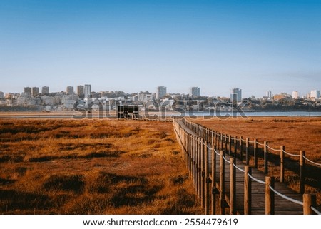 Similar – Image, Stock Photo Long wooden footbridge with an empty park bench at dusk