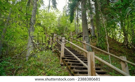 Long wooden stairs in the forest on an autumn day. Tourist hiking route.