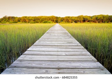Lange hölzerner Steg mit Aussicht aus niedriger Sicht. Rustikaler Weg durch Sumpfgebiet im Sommer mit warmem Grün. Holzplanken führen in die Ferne.