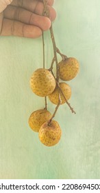 Longan. Southeast Asian Native Fruit With The Same Size As Grapes