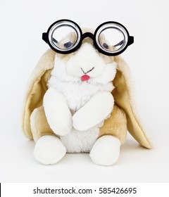 Long-eared Bunny Rabbit Wearing Silly Goofy Thick Lens Nerd Glasses.