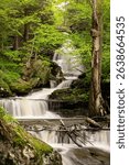 Long-exposure photo of B. Reynolds Falls cascading down a mossy rock face in Ricketts Glen State Park, Pennsylvania. Surrounded by lush green forest, the tranquil waterfall flows gracefully into a ser