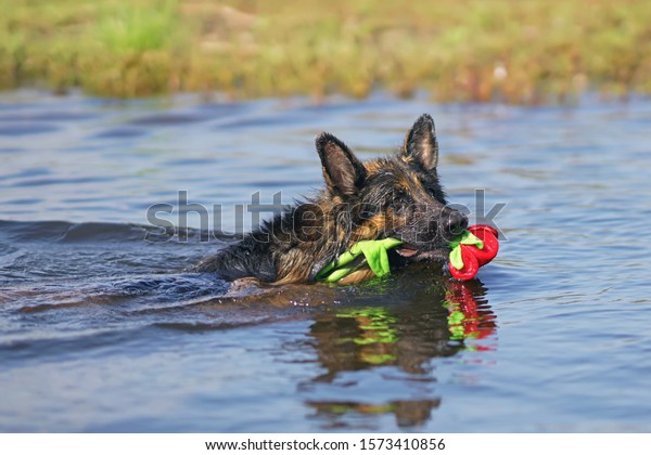 black german shepherd plush toy