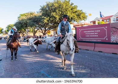Longhorns in the Stockyards, November 21,  2018:    Longhorn Cattle Drive at the  Fort Worth Stockyards accompanied by cowboys on horses. 