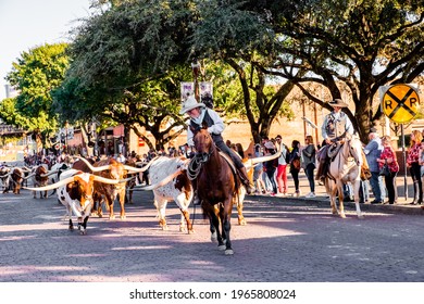 Longhorns in the Stockyards, November 21,  2018:    Longhorn Cattle Drive at the  Fort Worth Stockyards accompanied by cowboys on horses. 