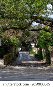 Longitude Lane located in Charleston, South Carolina is an alley that offers a glimpse into some of the hidden backyards and courtyards of Charleston’s oldest homes