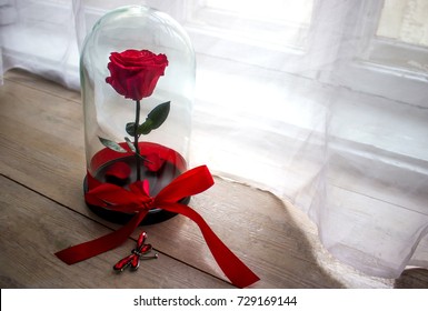 Long-lasting Rose In A Flask, In A Glass Dome, Stabilized, A Gift