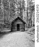 The Longmire Cabin sits quietly along the Trail of Shadows in Mount Rainier National Park