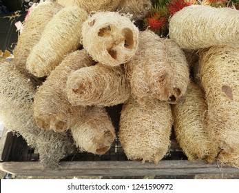 Loofah Sponge Husks