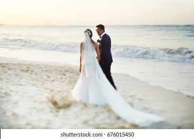 Look From Behind At Wedding Couple Walking Along The Sunny Beach