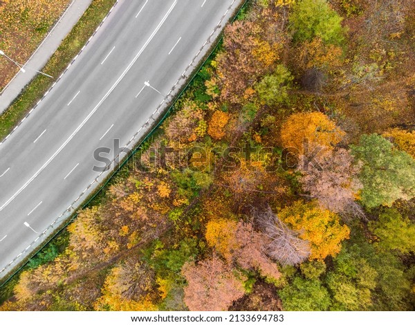 Look down on driveway street in autumn city park.\
Aerial on scenic empty road curve in autumnal yellow forest.\
Treetop view on Kharkiv,\
Ukraine