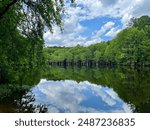 Look down the still, clam water of the Hope Mills lake. Dense forest surrounds the lake.